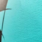 A painting of a bird on a turquoise background