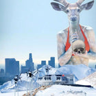 A reindeer with a red harness is in the air