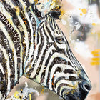 Painting of a zebra with a yellow background and a white stripe